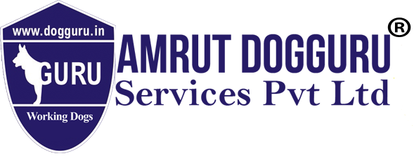 Amrut Dogguru